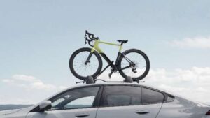 Image 1712663980063 300x169